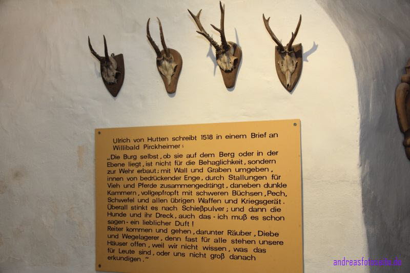 Burg Stein (14)