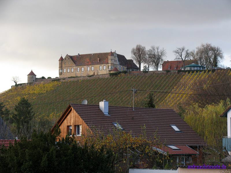 Burg Untergruppenbach (2)