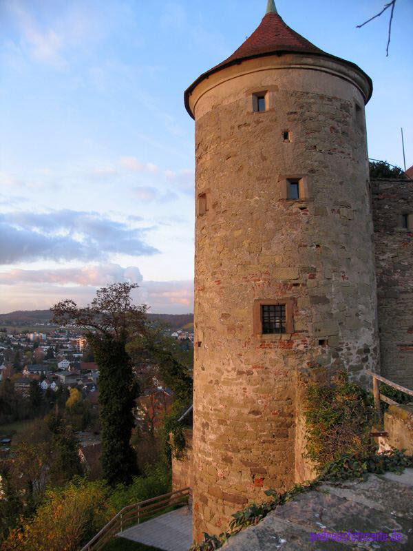 Burg Untergruppenbach (6)