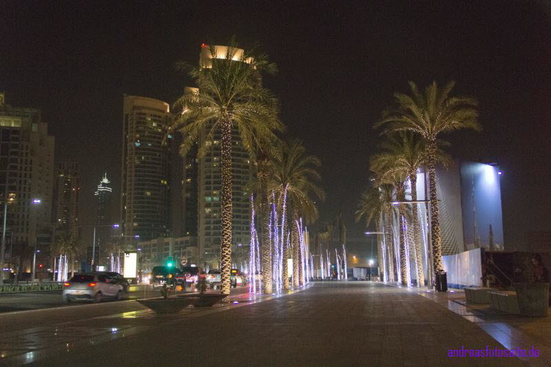 Dubai (241)