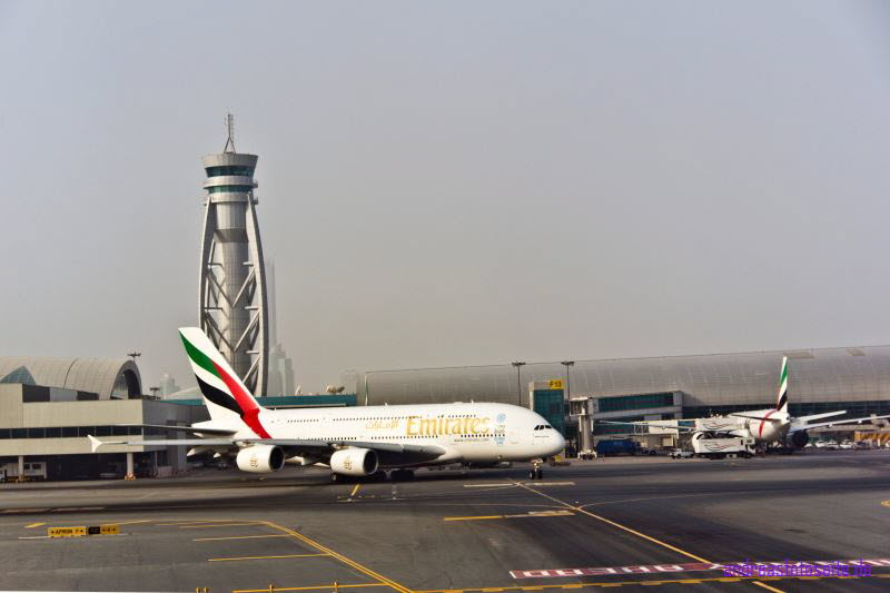 Dubai (542)